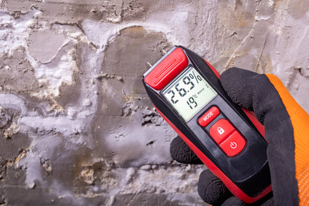Best Emergency Mold Removal  in Moravian Falls, NC